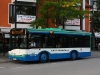 2010_alpino_86_2_mid