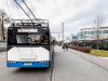 04-trollino-12